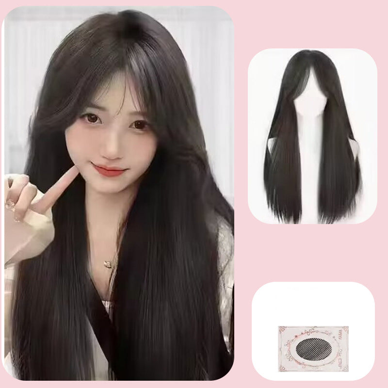 Women's Fashion Full Head Long Wig