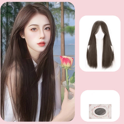 Women's Fashion Full Head Long Wig