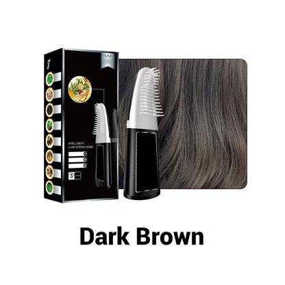 Intelligent Hair Dye Comb with Plant-Based Formula