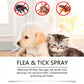 Spray Natural contra Pulgas e Carraças para Cães e Gatos