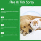 Spray Natural contra Pulgas e Carraças para Cães e Gatos